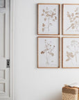Melrose Home Goods & Essentials Starla set-of-4 Floral Prints