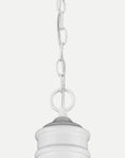 Homeroots Outdoor Colby 1-Light White Interior Island Pendant